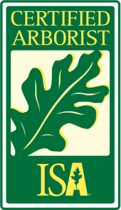 Any town ISA-Logo
