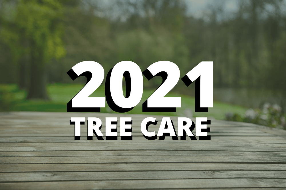 tree-care-2021