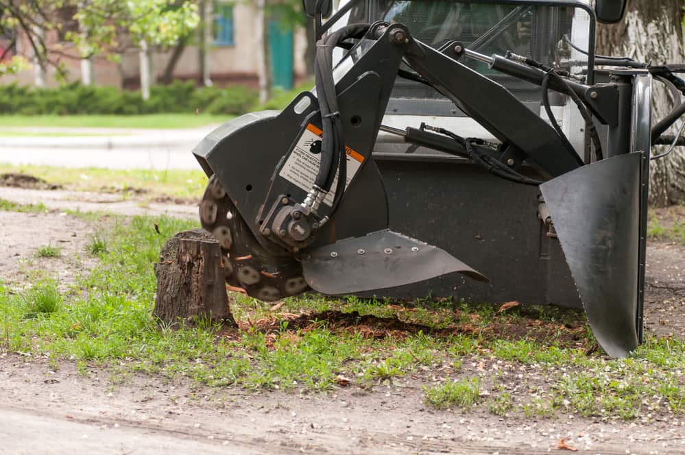 Local Stump Grinding Service