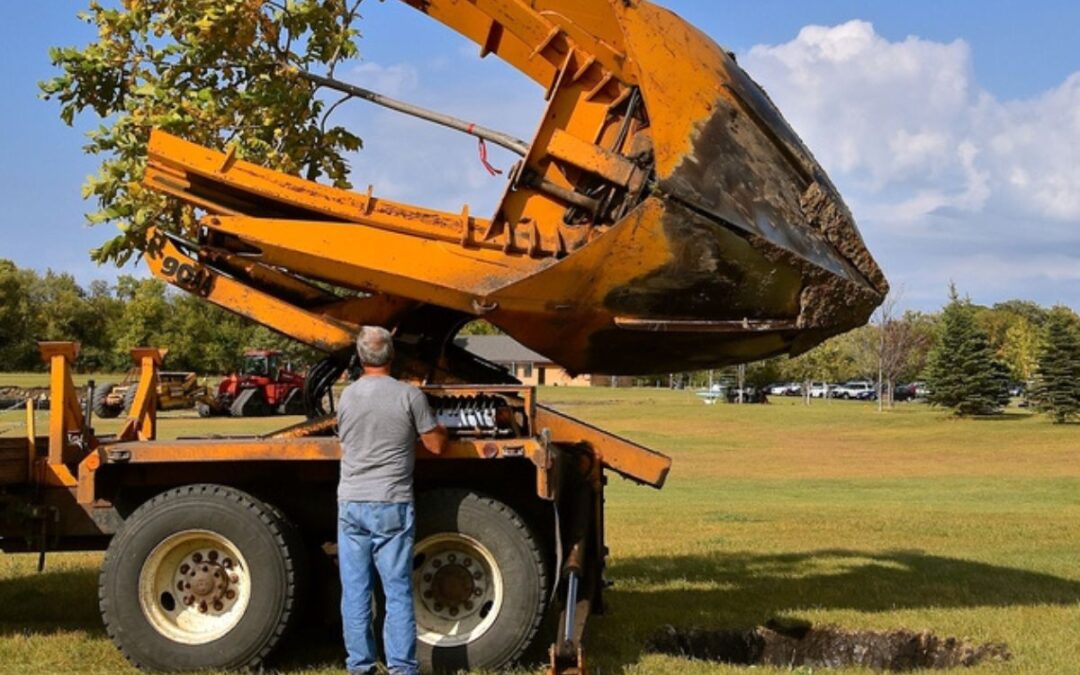 any-town-tree-arborist-moving-trees