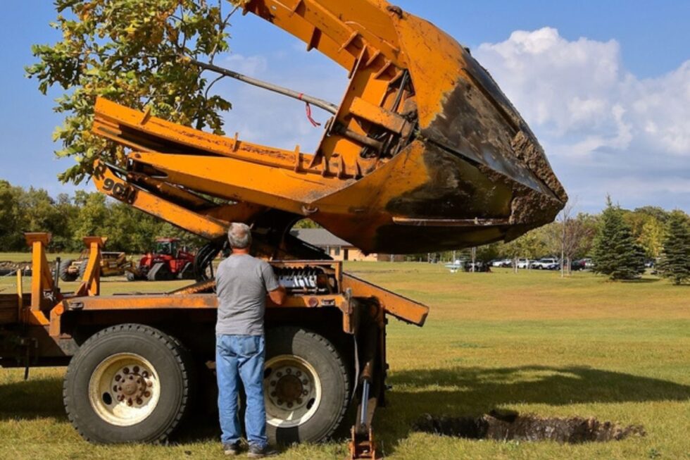 Can This Tree Be Replanted? Any Town Tree