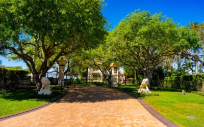 Spring-Ready Trees in Naples