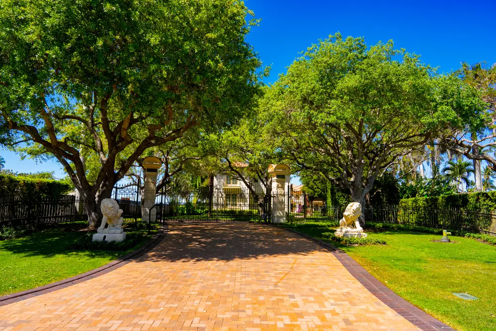 naples-fl-spring-ready-tree-tips