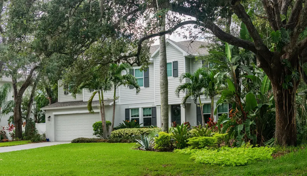 tree-removal-for-home-insurance-coverage