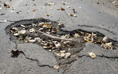 Are Your Trees Lifting Your Driveway?