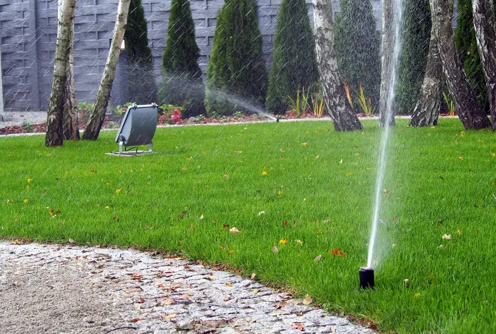 anytown-tree-service-irrigation-mistakes-damage-trees-naples-fl