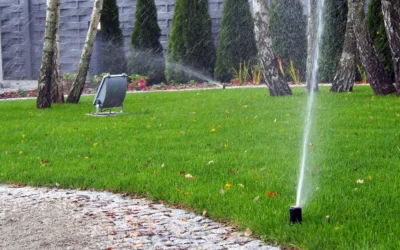 Irrigation Mistakes That Damage Trees in Southwest Florida