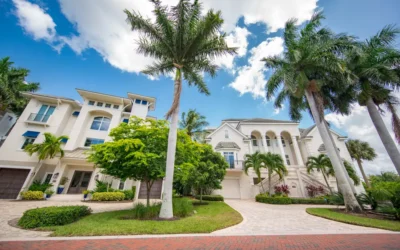 The 3 Most Booked Tree Services in Naples, FL