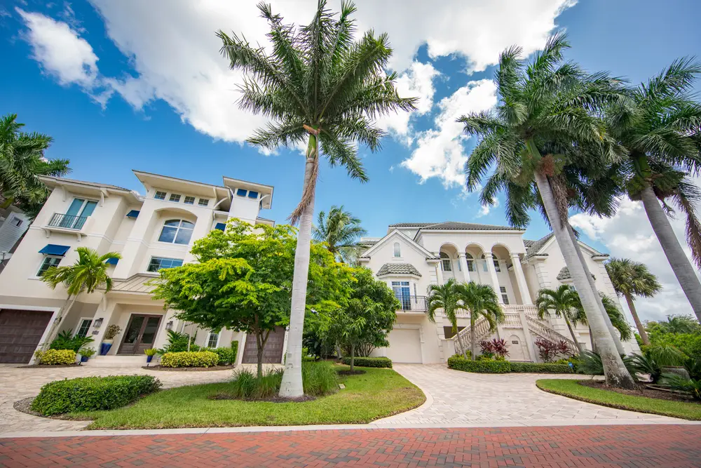 top-tree-services-booked-anytown-tree-service-naples-fl