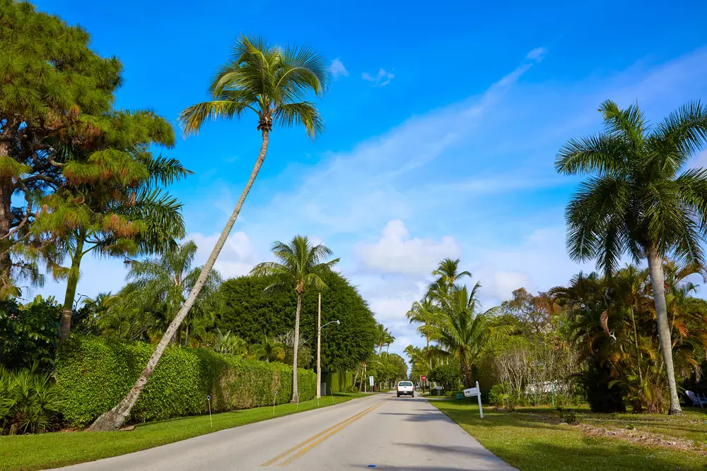 naples-florida-heat-stress-tree-care-tips