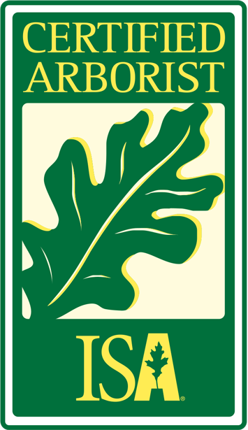 ISA-Logo Any town ISA-Logo