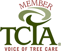 TCIA Anytown TCIA Logo
